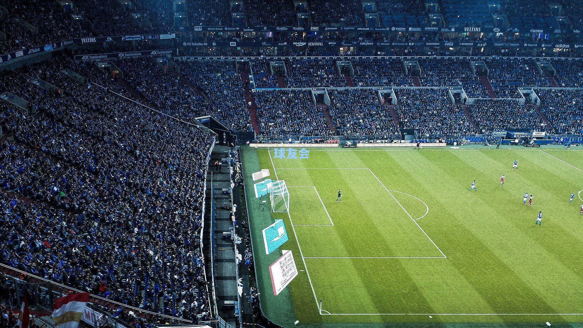 篮球公园独家探访，杨瀚森完成NBA注册，中国篮球新篇章正式开启